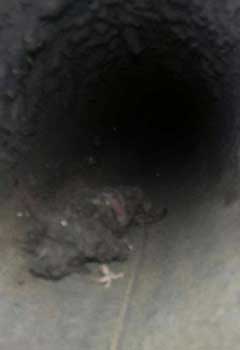 Dryer Vent Exhaust Cleaning Near Me, Irvington